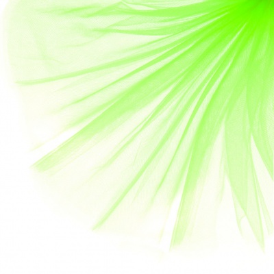 Фатин матовый 16-142, 12 гр/м2, шир.300см, цвет неон.зелёный - купить в Евпатории. Цена 100.92 руб.