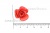 Украшение "Розы малые №1" 20мм - купить в Евпатории. Цена: 32.49 руб.