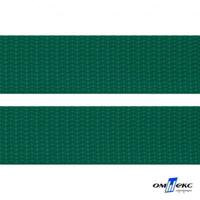Зелёный- цв.876 -Текстильная лента-стропа 550 гр/м2 ,100% пэ шир.20 мм (боб.50+/-1 м) - купить в Евпатории. Цена: 318.85 руб.
