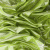 Трикотажное полотно голограмма, шир.140 см, #602 -люм.салат - купить в Евпатории. Цена 385.88 руб.