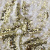 Трикотажное полотно, Сетка с пайетками, шир.130 см, #315, цв.-белый/золото - купить в Евпатории. Цена 693.39 руб.