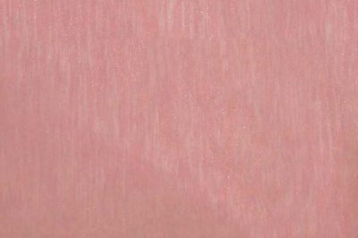 Органза однотонная "Амелия" С19 (Розовый) 280 см - купить в Евпатории. Цена 303.09 руб.