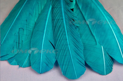 Декоративный Пучок из перьев, перо 24см/голубой - купить в Евпатории. Цена: 12.19 руб.