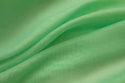 Портьерный капрон 15-6123, 47 гр/м2, шир.300см, цвет св.зелёный - купить в Евпатории. Цена 137.27 руб.