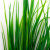 Трава искусственная -2, шт (осока 41см/8 см)				 - купить в Евпатории. Цена: 104.57 руб.
