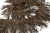 008-коричневый, Бахрома арт.001 шир.10см (упак.12+/-0,5м) - купить в Евпатории. Цена: 1 017.33 руб.