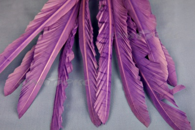 Декоративный Пучок из перьев, перо 25см/фиолетовый - купить в Евпатории. Цена: 12.19 руб.