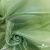 Ткань органза, 100% полиэстр, 28г/м2, шир. 150 см, цв. #27 зеленый - купить в Евпатории. Цена 86.24 руб.