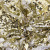 Трикотажное полотно, Сетка с пайетками, шир.130 см, #315, цв.-белый/золото - купить в Евпатории. Цена 693.39 руб.