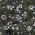 Плательная ткань "Фламенко" 11.2, 80 гр/м2, шир.150 см, принт растительный - купить в Евпатории. Цена 259.21 руб.