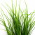 Трава искусственная -3, шт (осока 50 см/8 см  5 листов)				 - купить в Евпатории. Цена: 124.17 руб.