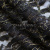 Кружевное полотно XD LACE 1-4, 80 гр/м2, шир.150см, цвет чёрный - купить в Евпатории. Цена 245.94 руб.
