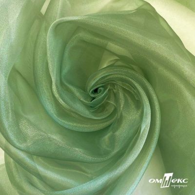 Ткань органза, 100% полиэстр, 28г/м2, шир. 150 см, цв. #27 зеленый - купить в Евпатории. Цена 86.24 руб.